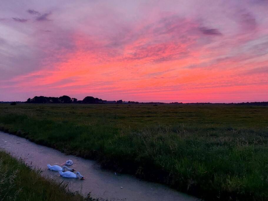 Tiny House "De Veenpolder" De Veenhoop Exteriér fotografie